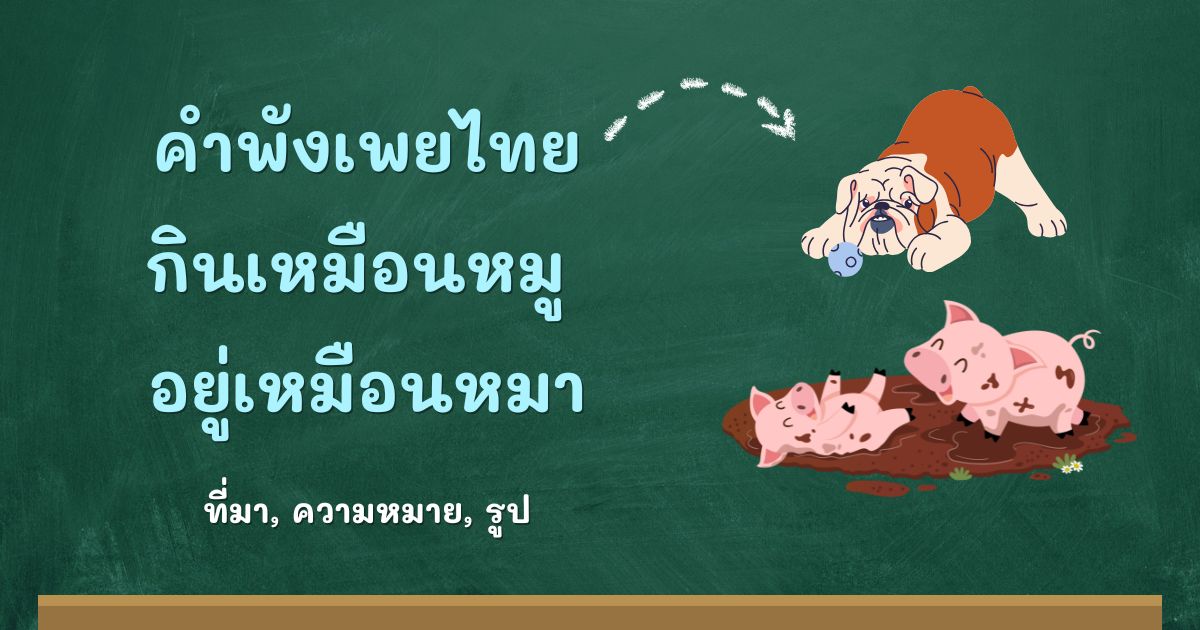 คำพังเพยกินเหมือนหมู อยู่เหมือนหมา