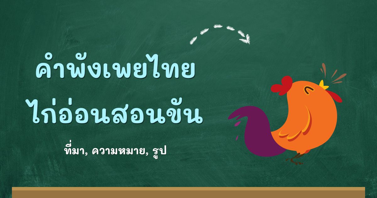 รู้จักคำพังเพยไก่อ่อนสอนขัน ที่มาและความหมาย