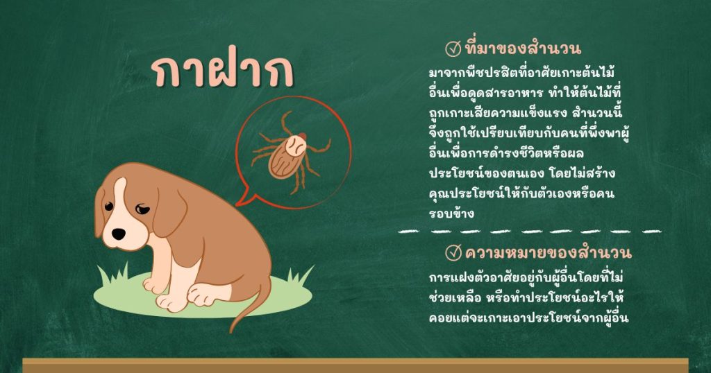 ที่มาและความหมายกาฝาก