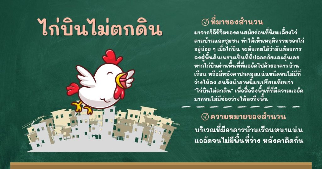 ที่มาและความหมายไก่บินไม่ตกดิน