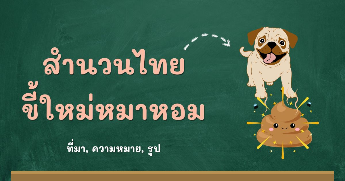 สำนวนขี้ใหม่หมาหอม