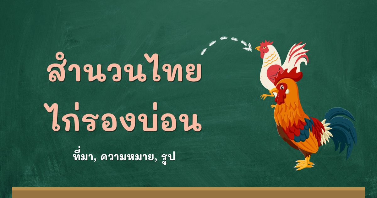 สำนวนไก่รองบ่อน