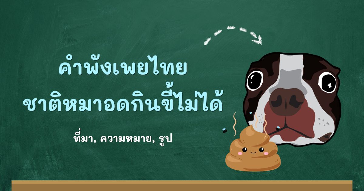คำพังเพยชาติหมาอดกินขี้ไม่ได้