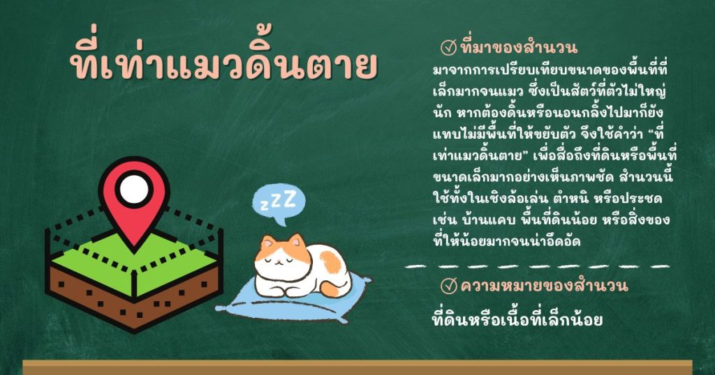 ที่มาและความหมายที่เท่าแมวดิ้นตาย