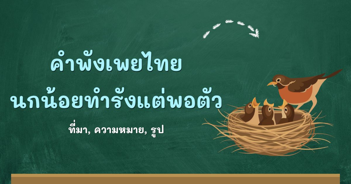 คำพังเพยนกน้อยทำรังแต่พอตัว