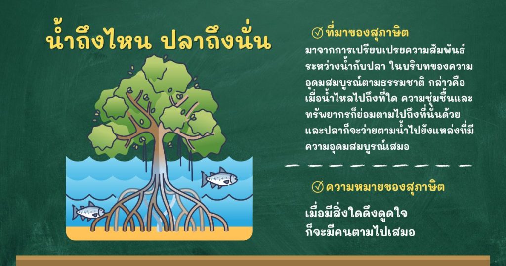 ที่มาและความหมายน้ำถึงไหน ปลาถึงนั่น