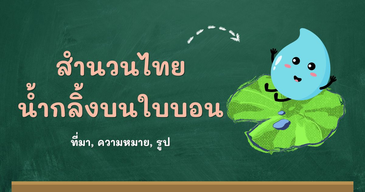 รู้จักสำนวนน้ำกลิ้งบนใบบอน ที่มาและความหมาย
