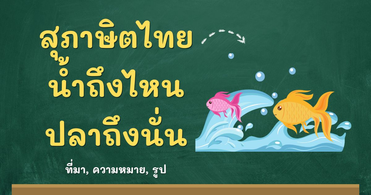 สุภาษิตน้ำถึงไหน ปลาถึงนั่น