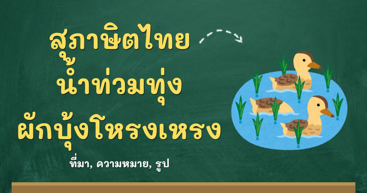 สุภาษิตน้ำท่วมทุ่ง ผักบุ้งโหรงเหรง