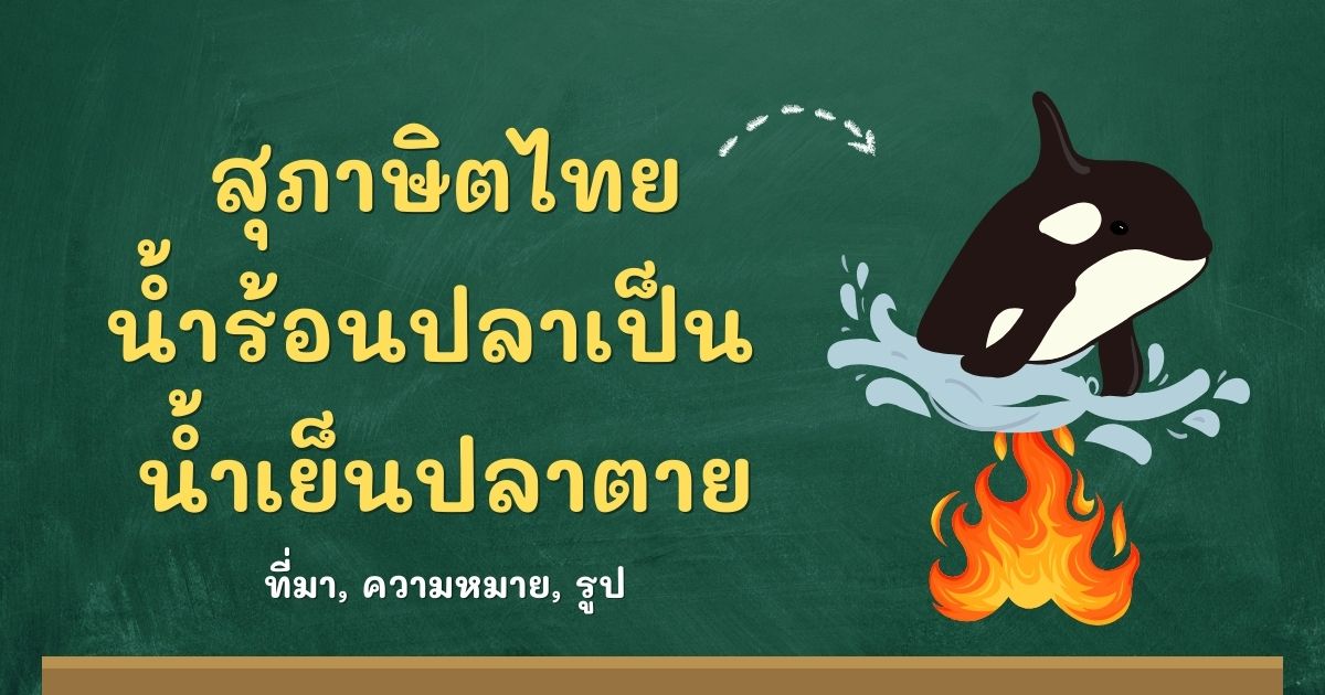 สุภาษิตน้ำร้อนปลาเป็น น้ำเย็นปลาตาย