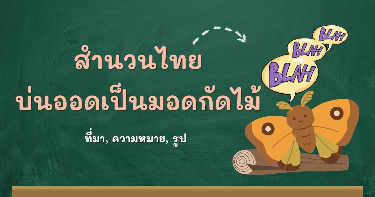 รู้จักสำนวนบ่นออดเป็นมอดกัดไม้ ที่มาและความหมาย