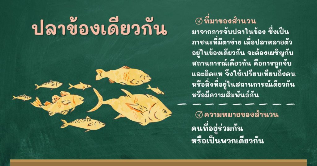 ที่มาและความหมายปลาข้องเดียวกัน