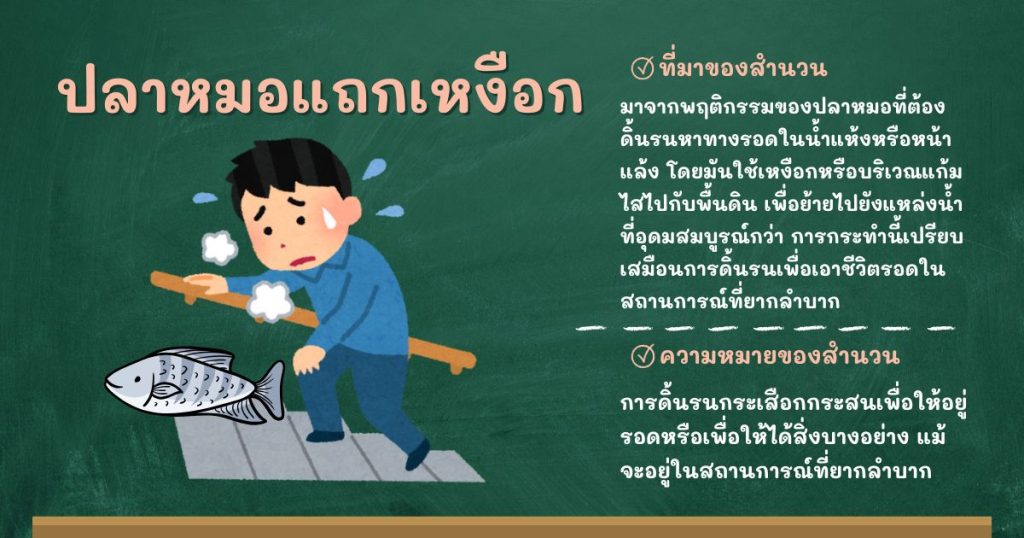 ที่มาและความหมายปลาหมอแถกเหงือก