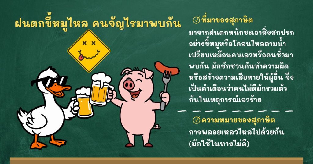 ที่มาและความหมายฝนตกขี้หมูไหล คนจัญไรมาพบกัน