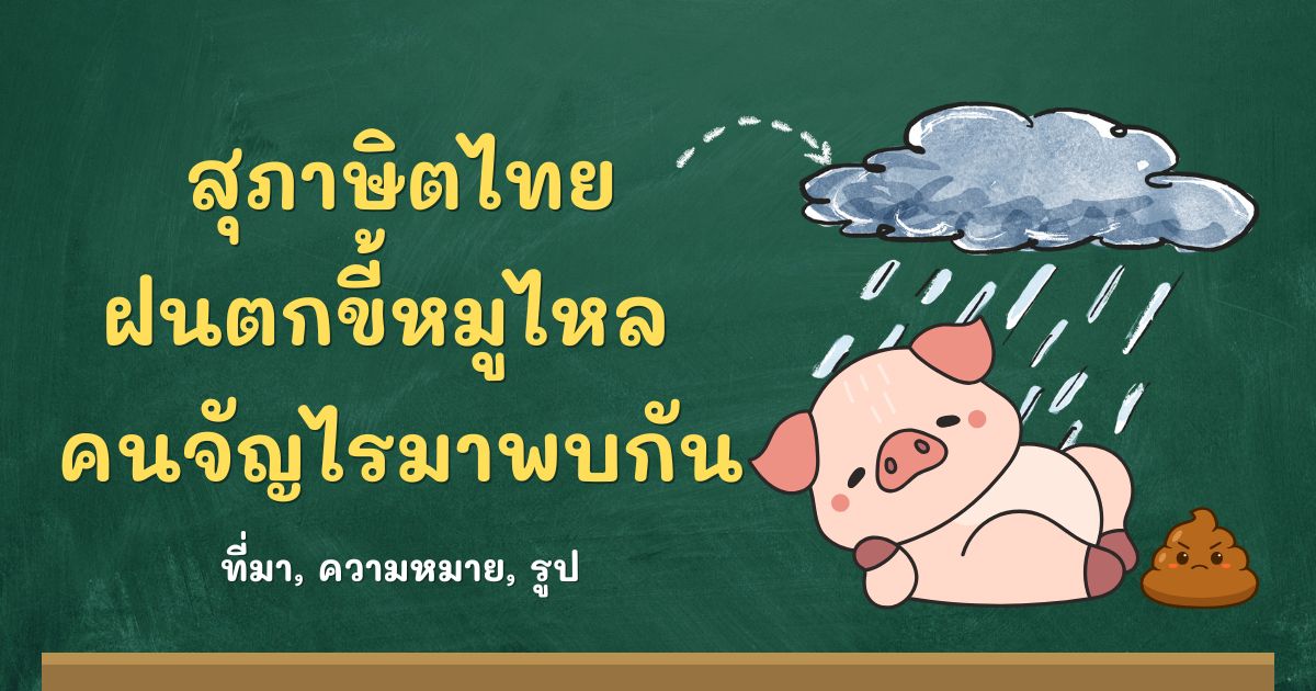 สุภาษิตฝนตกขี้หมูไหล คนจัญไรมาพบกัน