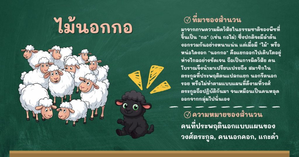 ที่มาและความหมายไม้นอกกอ