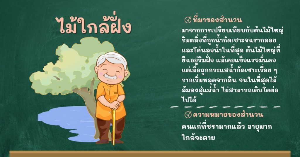 ที่มาและความหมายไม้ใกล้ฝั่ง