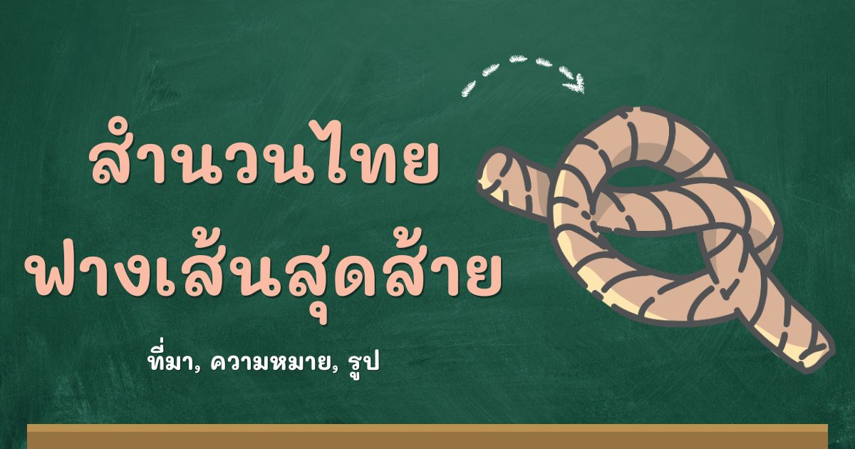 สำนวนฟางเส้นสุดส้าย
