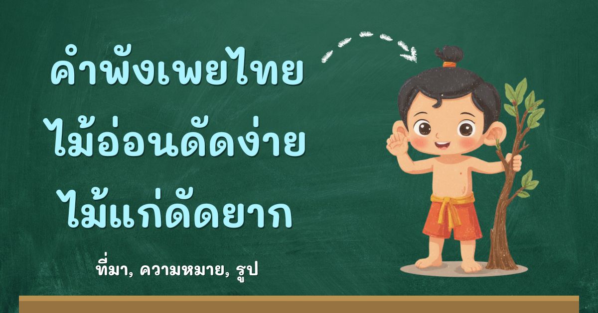 รู้จักคำพังเพยไม้อ่อนดัดง่าย ไม้แก่ดัดยาก ที่มาและความหมาย