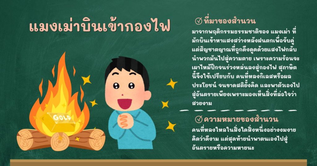 ที่มาและความหมายแมงเม่าบินเข้ากองไฟ