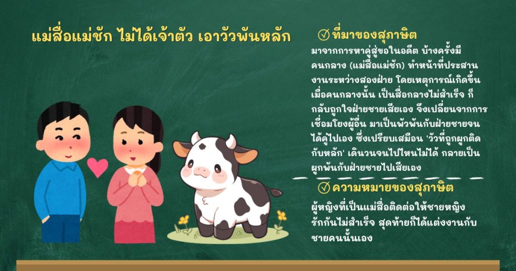 ที่มาและความหมายแม่สื่อแม่ชัก ไม่ได้เจ้าตัว เอาวัวพันหลัก