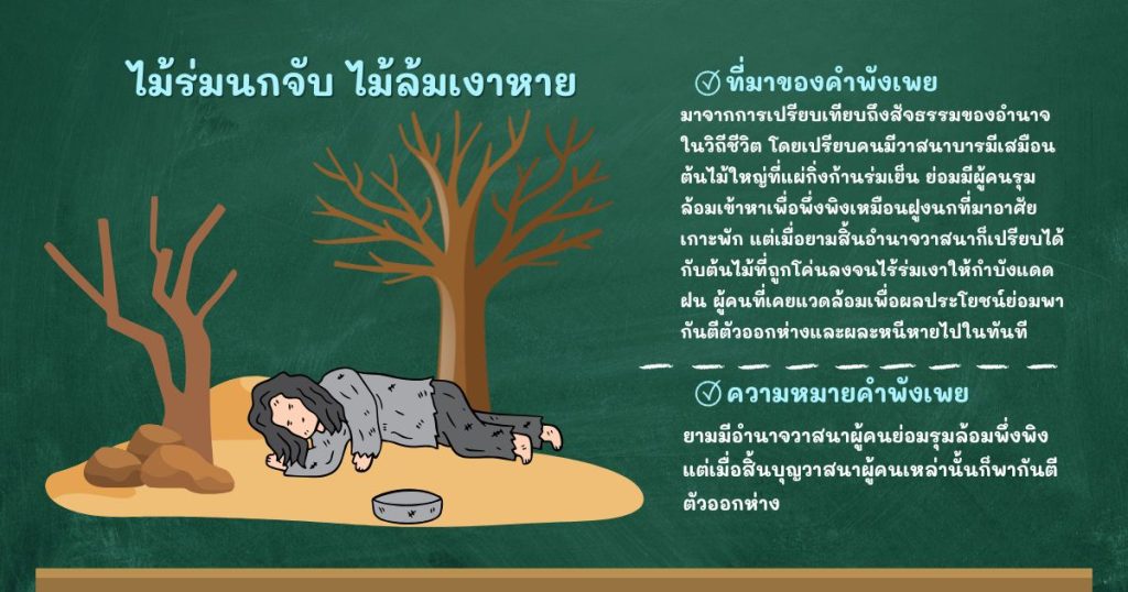 ที่มาและความหมายไม้ร่มนกจับ ไม้ล้มเงาหาย