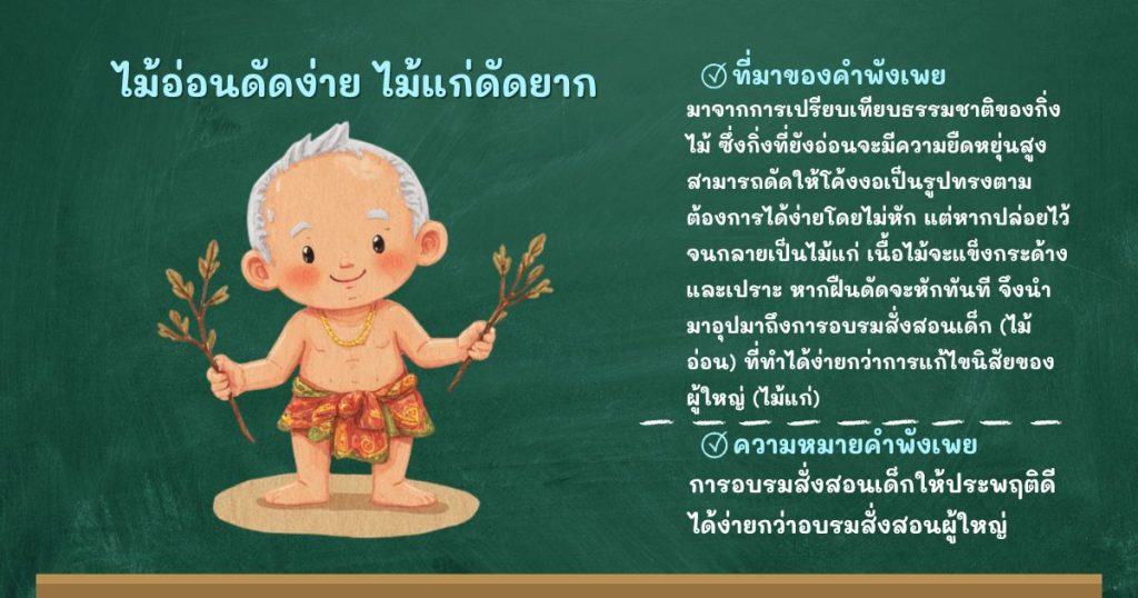 ที่มาและความหมายไม้อ่อนดัดง่าย ไม้แก่ดัดยาก