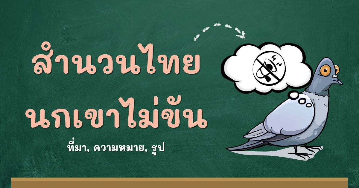 รู้จักสำนวนนกเขาไม่ขัน ที่มาและความหมาย