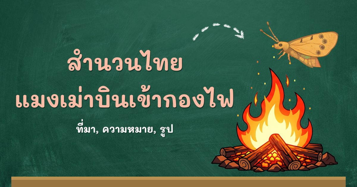 รู้จักสำนวนแมงเม่าบินเข้ากองไฟ ที่มาและความหมาย