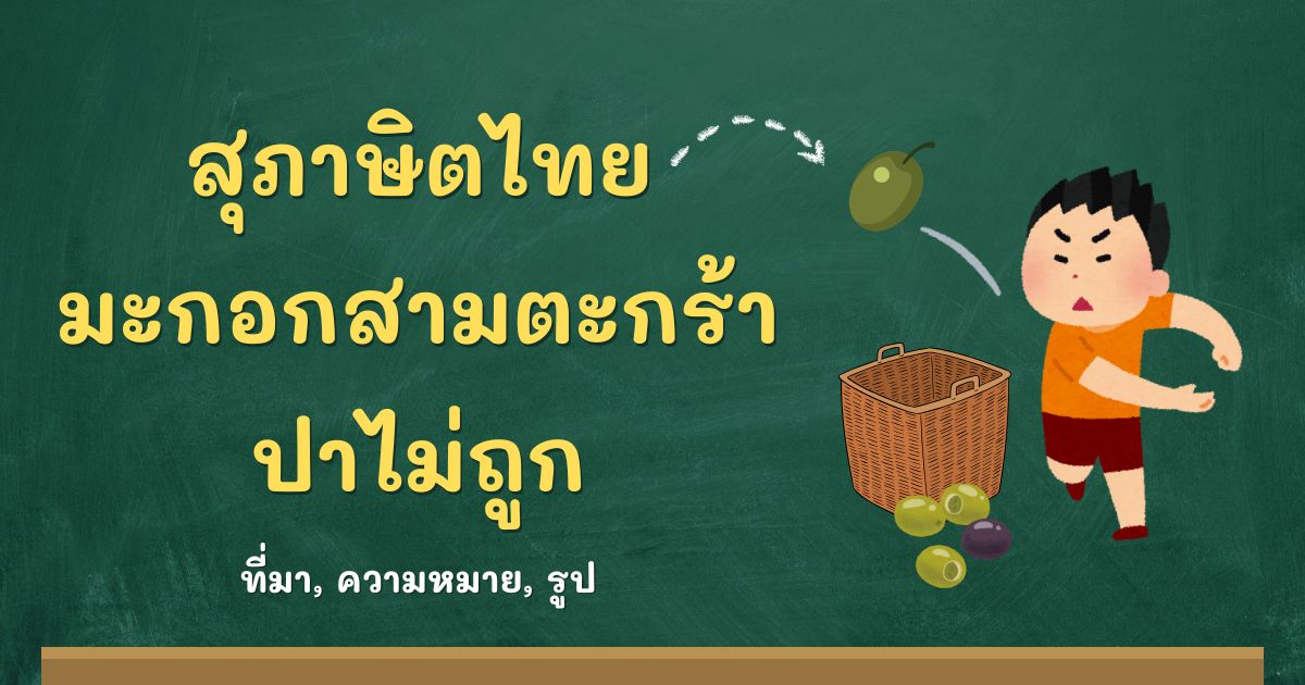 รู้จักสุภาษิตมะกอกสามตะกร้าปาไม่ถูก ที่มาและความหมาย