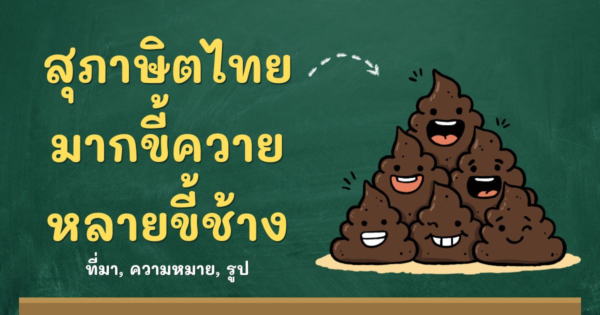 รู้จักสุภาษิตมากขี้ควาย หลายขี้ช้าง ที่มาและความหมาาย