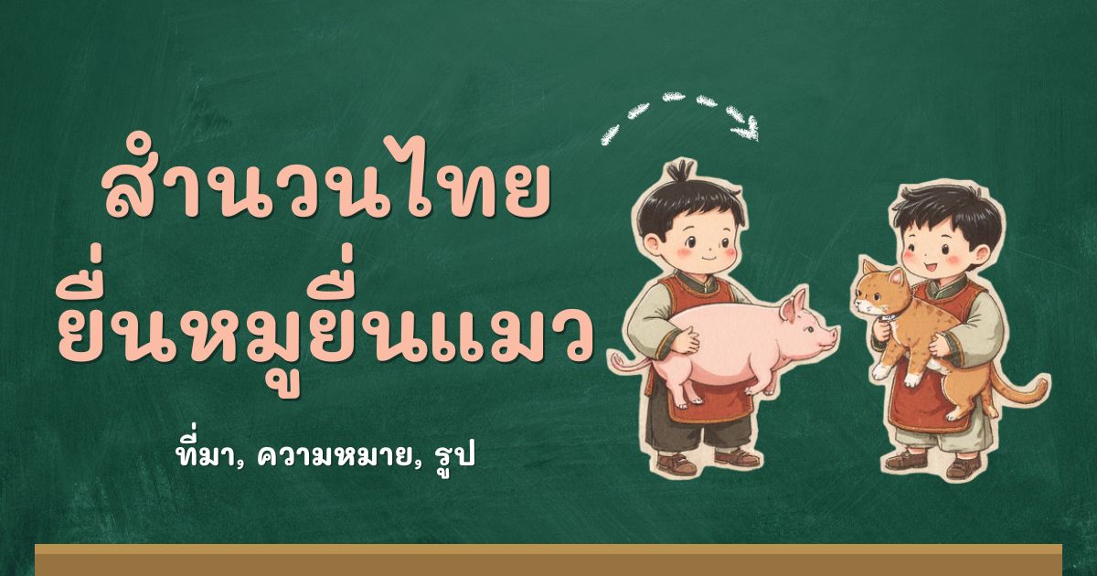 รู้จักสำนวนยื่นหมูยื่นแมว ที่มาและความหมาย