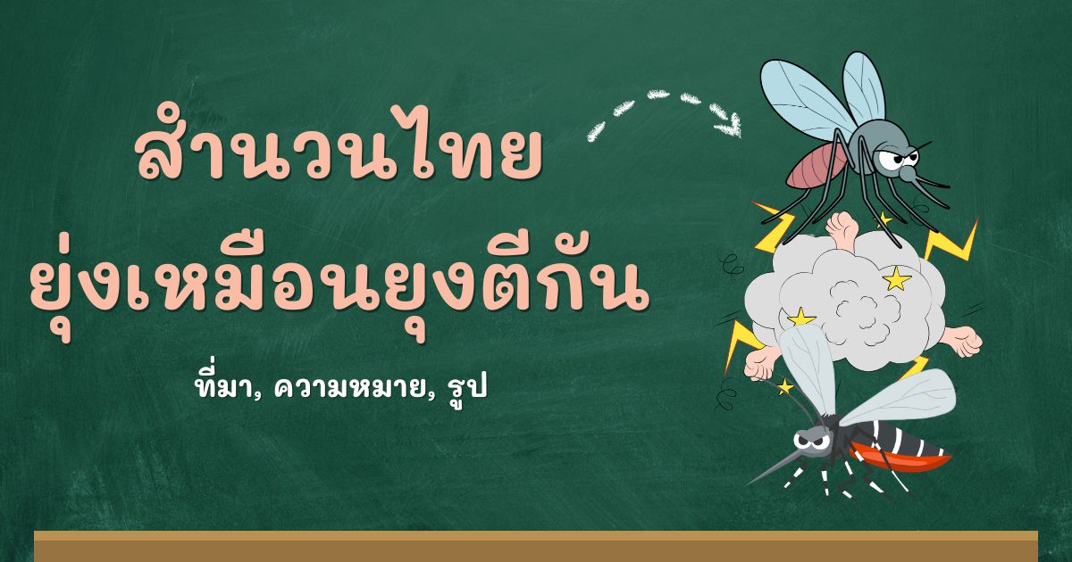 รู้จักสำนวนยุ่งเหมือนยุงตีกัน ที่มาและความหมาย